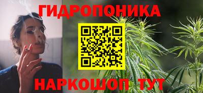 твердый Заводоуковск