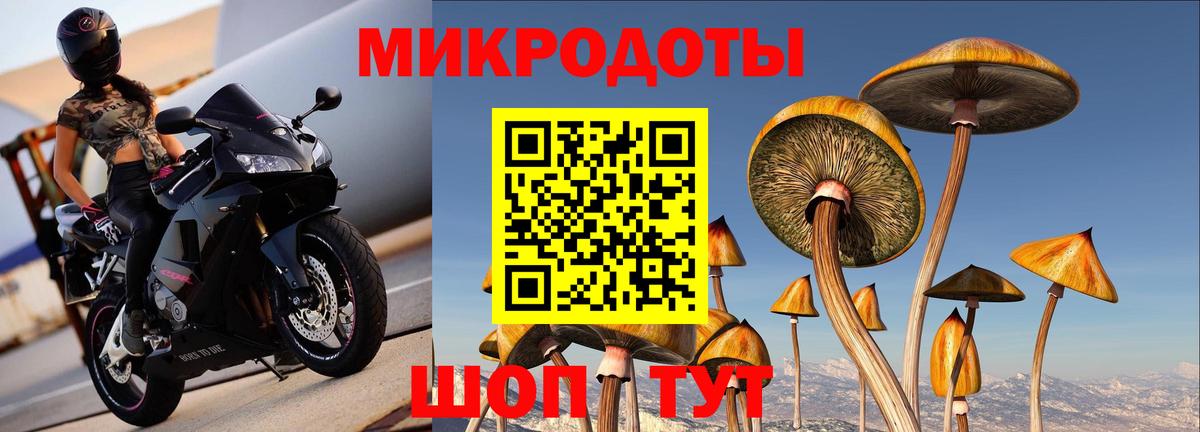 Галлюциногенные грибы Psilocybe  Вход с VPN  Моздок 